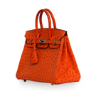 Hermes - Tangerine Ostrich Birkin 25 Palladium Hardware (Pre-Owned)