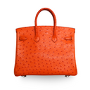 Hermes - Tangerine Ostrich Birkin 25 Palladium Hardware (Pre-Owned)