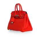 Hermes - Tangerine Birkin 25 Togo Palladium Hardware